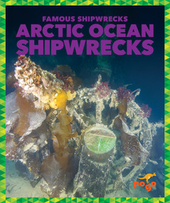 Arctic Ocean Shipwrecks by Michelle Parkin, 9798889966562