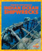 Indian Ocean Shipwrecks by Michelle Parkin, 9798889966654