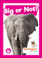 Big or Not? by William Anthony, 9798889967620