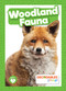 Woodland Fauna by Charis Mather, 9798889968498