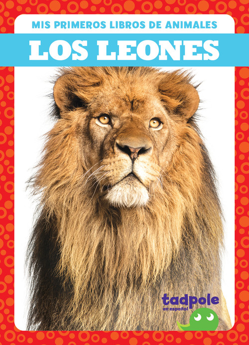 Los leones (Lions) (Spanish Edition) by Natalie Deniston, 9798889967262
