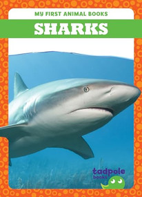 Sharks - 9798889965862 by Natalie Deniston, 9798889965862