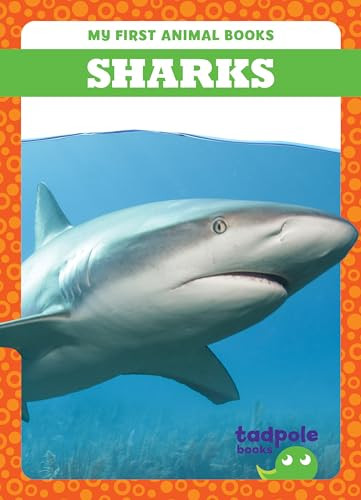 Sharks - 9798889965862 by Natalie Deniston, 9798889965862
