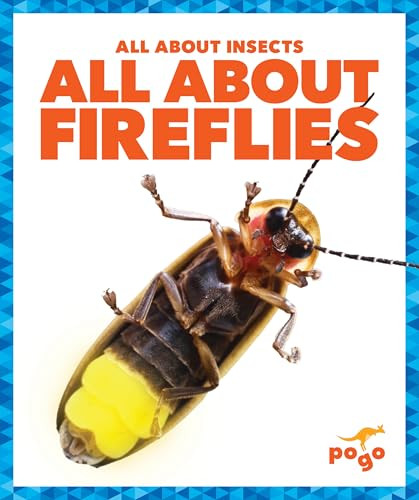 All About Fireflies by Golriz Golkar, 9798889969846