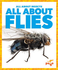 All About Flies by Golriz Golkar, 9798889969877