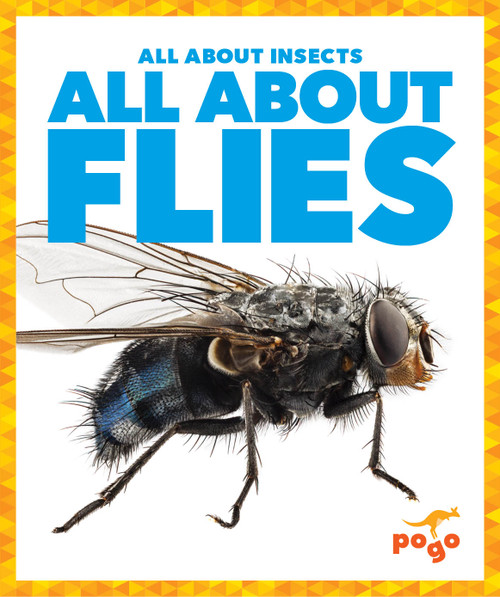 All About Flies by Golriz Golkar, 9798889969877