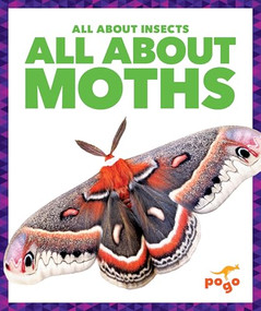All About Moths by Golriz Golkar, 9798889969938
