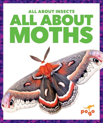 All About Moths by Golriz Golkar, 9798889969938