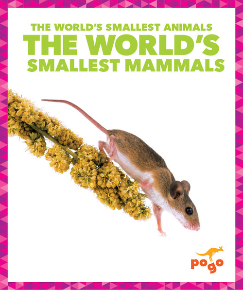 The World's Smallest Mammals - 9798892131988 by Becca Becker, 9798892131988