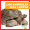 Los animales más lentos (Slowest Animals) (Spanish Edition) by Lily Austen, 9798892132664