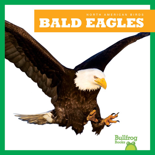 Bald Eagles - 9798892131018 by Rachel Grack, 9798892131018