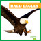 Bald Eagles - 9798892131018 by Rachel Grack, 9798892131018