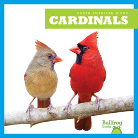 Cardinals - 9798892131070 by Rachel Grack, 9798892131070