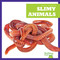 Slimy Animals - 9798892130660 by Katie Chanez, 9798892130660