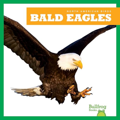 Bald Eagles - 9798892131025 by Rachel Grack, 9798892131025
