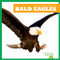 Bald Eagles - 9798892131025 by Rachel Grack, 9798892131025