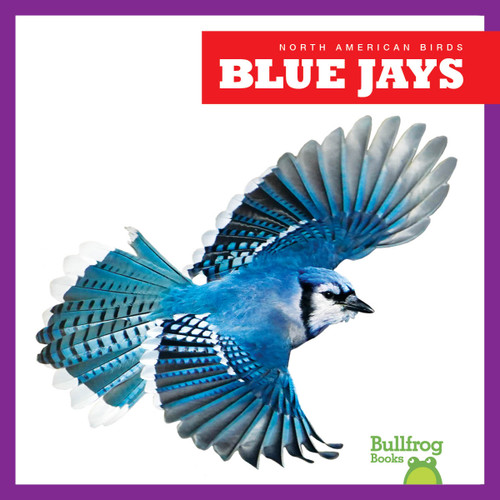 Blue Jays - 9798892131056 by Rachel Grack, 9798892131056