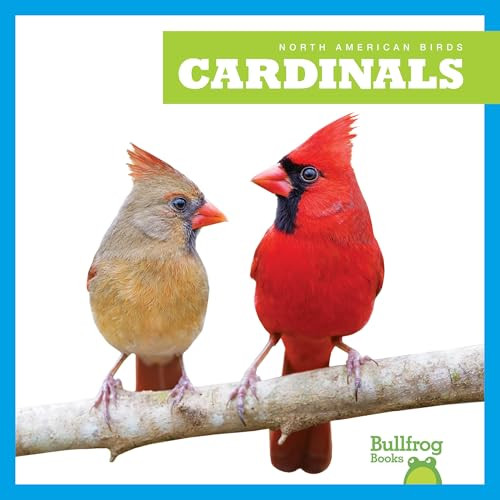 Cardinals - 9798892131087 by Rachel Grack, 9798892131087