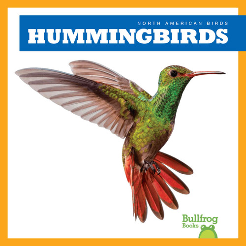 Hummingbirds - 9798892131117 by Rachel Grack, 9798892131117