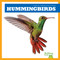 Hummingbirds - 9798892131117 by Rachel Grack, 9798892131117