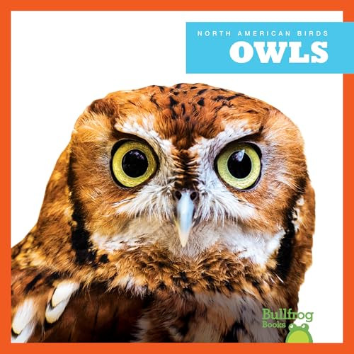 Owls - 9798892131148 by Rachel Grack, 9798892131148