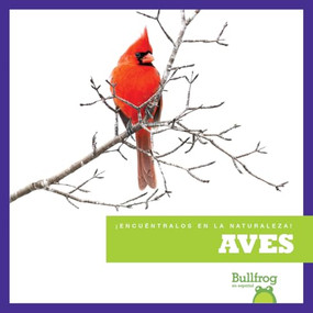 Aves (Birds) (Spanish Edition) - 9798892137232 by Jenna Lee Gleisner, 9798892137232