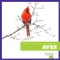 Aves (Birds) (Spanish Edition) - 9798892137232 by Jenna Lee Gleisner, 9798892137232