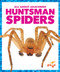 Huntsman Spiders by Jenna Lee Gleisner, 9798892136150