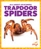 Trapdoor Spiders - 9798892136242 by Becca Becker, 9798892136242