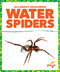 Water Spiders - 9798892136273 by Becca Becker, 9798892136273