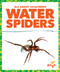 Water Spiders - 9798892136273 by Natalie Deniston, 9798892136273