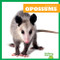 Opossums - 9798892135221 by Natalie Deniston, 9798892135221