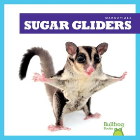 Sugar Gliders by Natalie Deniston, 9798892135252