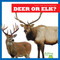 Deer or Elk? by Jenna Lee Gleisner, 9798892136785
