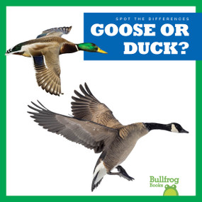 Goose or Duck? by Natalie Deniston, 9798892136815