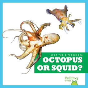 Octopus or Squid? - 9798892136846 by Natalie Deniston, 9798892136846