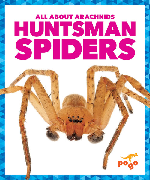 Huntsman Spiders - 9798892136167 by Jenna Lee Gleisner, 9798892136167