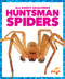 Huntsman Spiders - 9798892136167 by Jenna Lee Gleisner, 9798892136167