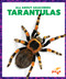 Tarantulas - 9798892136228 by Becca Becker, 9798892136228