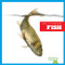 Fish - 9798892136976 by Jenna Lee Gleisner, 9798892136976