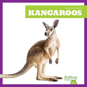 Kangaroos - 9798892135177 by Natalie Deniston, 9798892135177