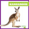 Kangaroos - 9798892135177 by Natalie Deniston, 9798892135177