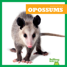 Opossums - 9798892135238 by Natalie Deniston, 9798892135238