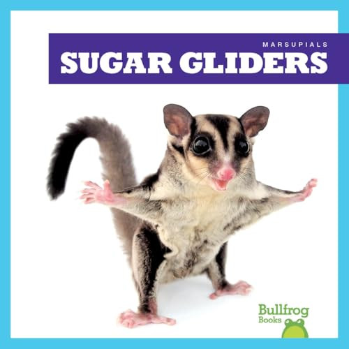 Sugar Gliders - 9798892135269 by Natalie Deniston, 9798892135269