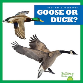 Goose or Duck? - 9798892136822 by Natalie Deniston, 9798892136822