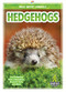 Hedgehogs - 9781645190073 by Emma Huddleston, 9781645190073