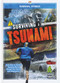 Surviving a Tsunami by Vicki C. Hayes, 9781645192039