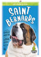 Saint Bernards - 9781645194460 by K.C. Kelley, 9781645194460