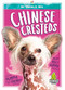 Chinese Cresteds by Renata Marie, 9781645194651