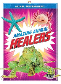 Amazing Animal Healers by Rhonda E. Nichols, 9781645194941